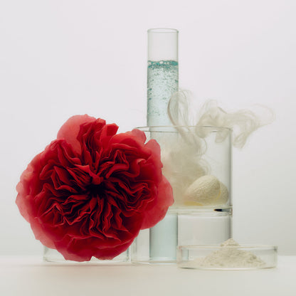 Tatcha Silk Cream ingredients: retinol-alternative rose extract, hydrolyzed silk & squalane, lipid blend